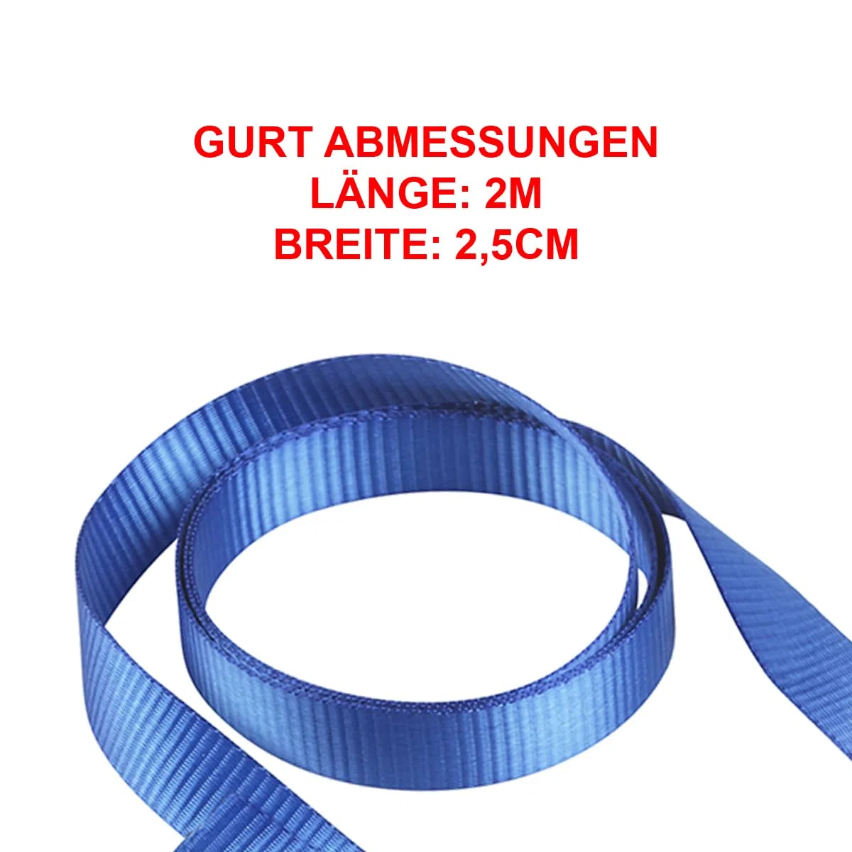 Master Lock 4368EURDAT Zertifizierter Spanngurt mit Ratsche und S-Haken, Blau, 2 m x 25 mm Gurt, 2-er Set